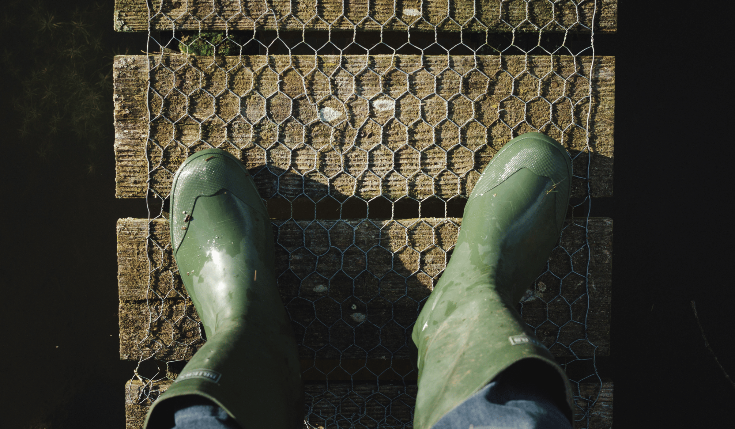 What to Look for in a Reliable Safety Boots Supplier in Malaysia