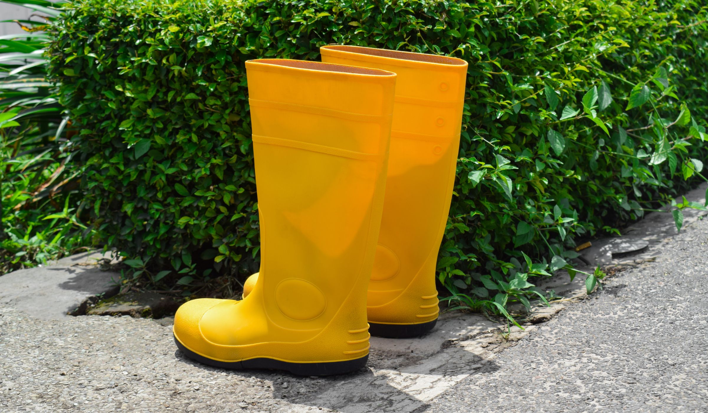 gum boot and rain boot manufacturing